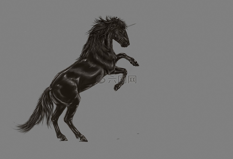 獨角獸,黑色,馬
