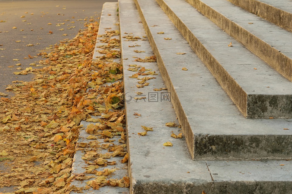 市場(chǎng),葉,秋天