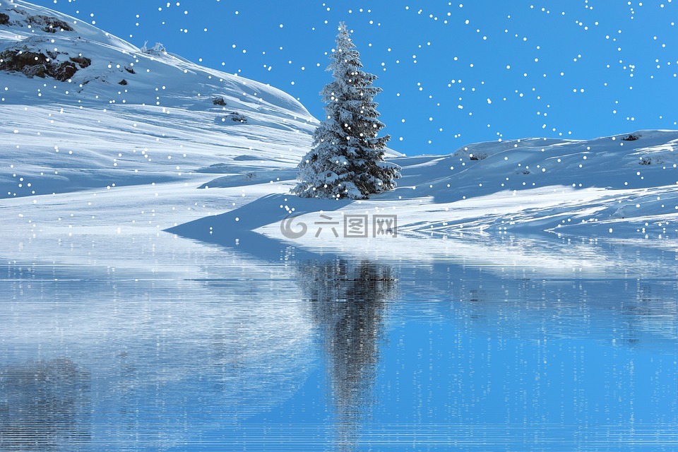 冬天,雪,降雪