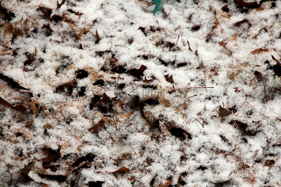 雪,冰,背景