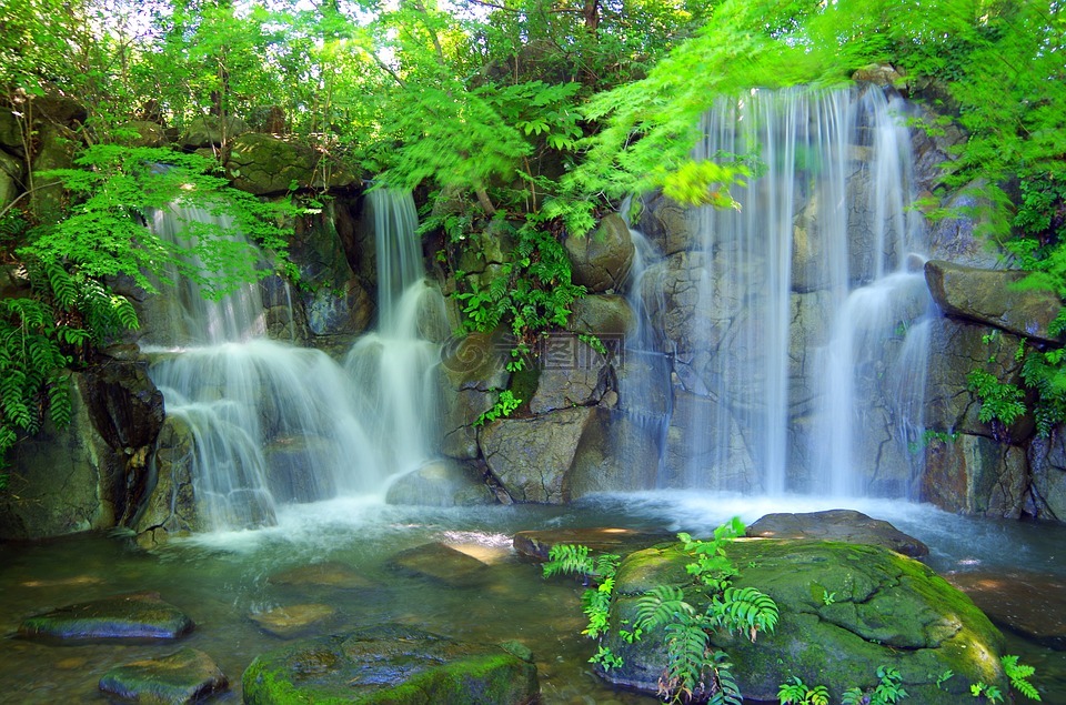 水,谷,綠色