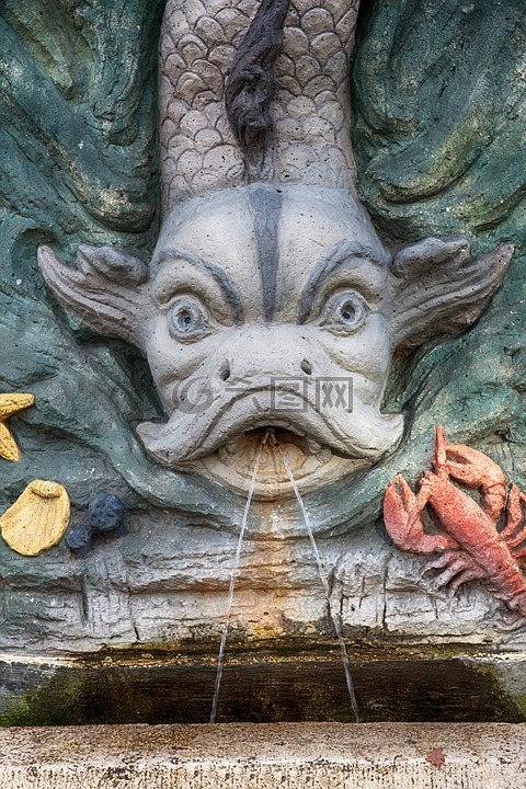 噴泉,魚,癌癥