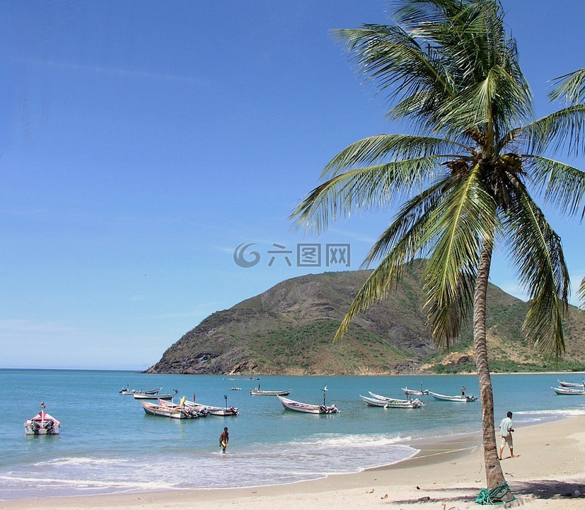 委內(nèi)瑞拉,船,海