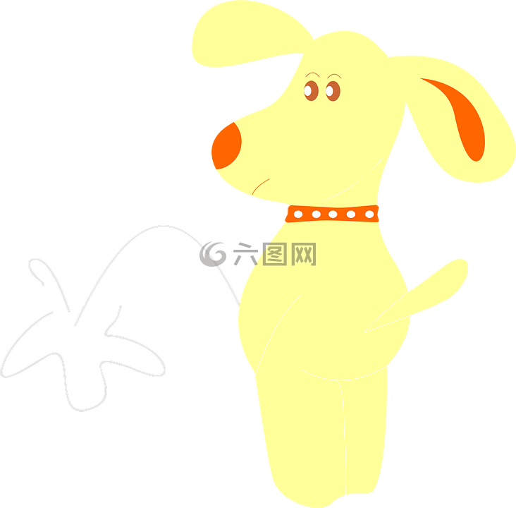 viralata,狗,动物