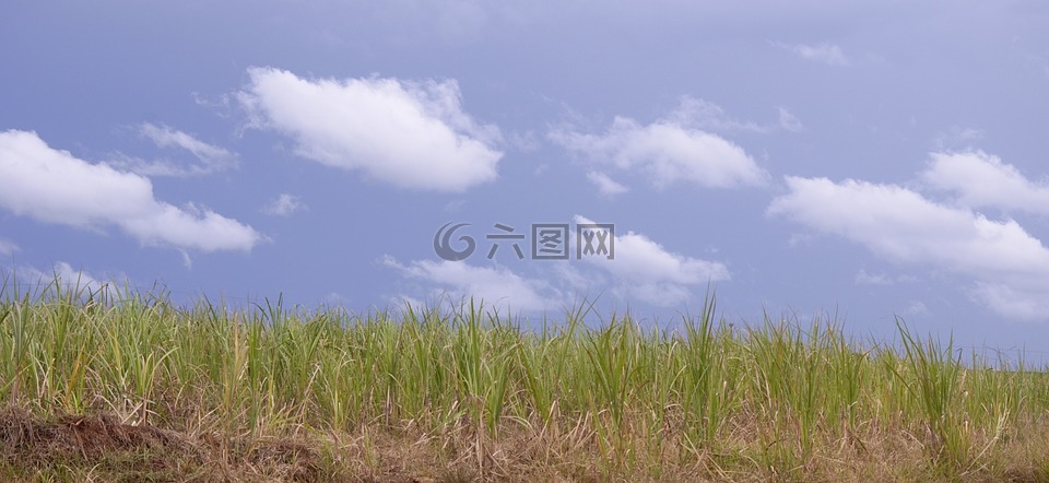 景觀,天空,迦