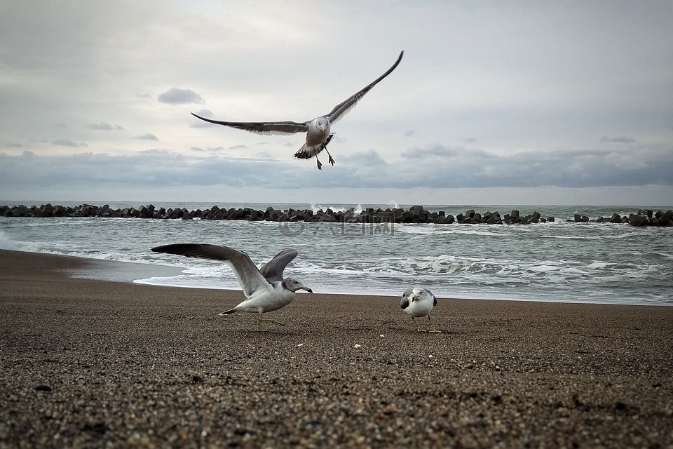 早晨,天空,海
