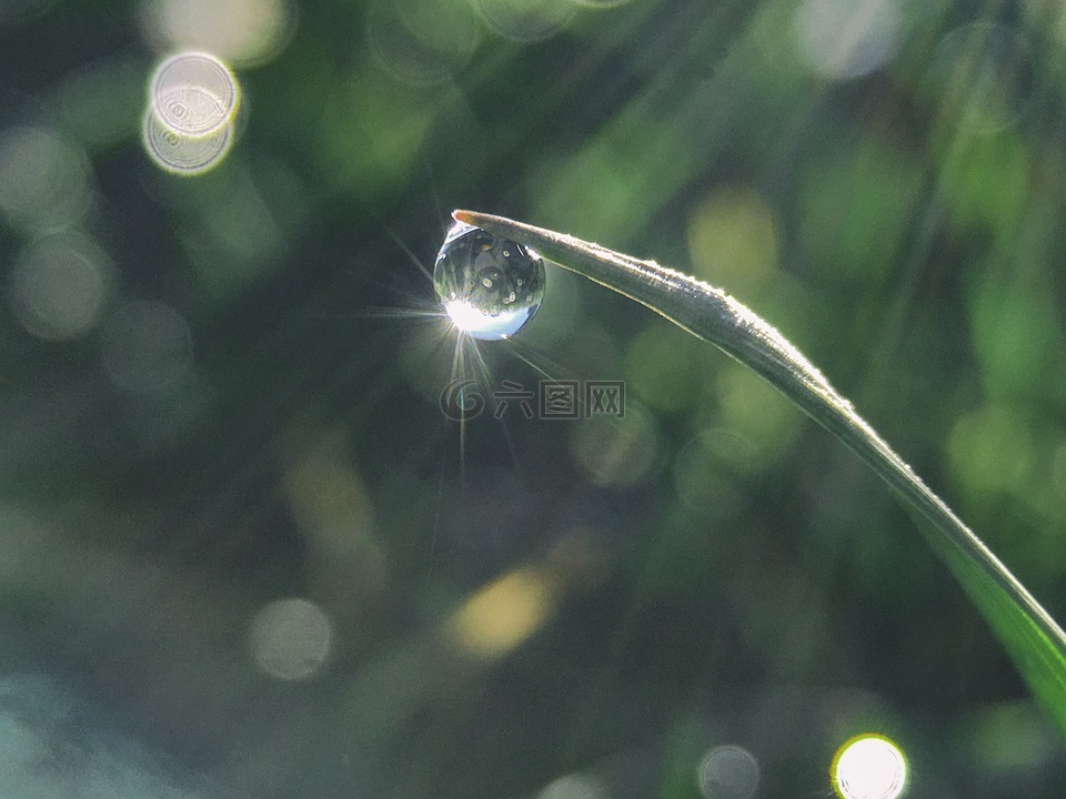 水,下降,綠色