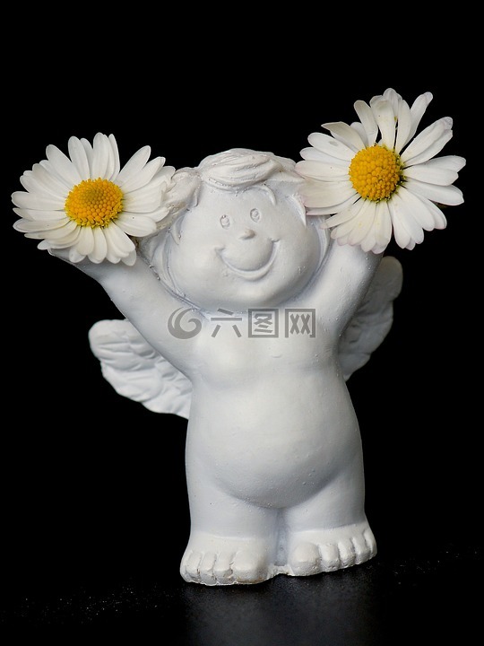 守護天使,雛菊,快樂