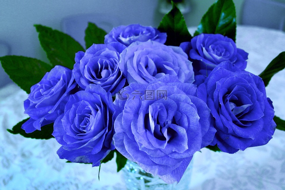 鲜花,玫瑰,花的