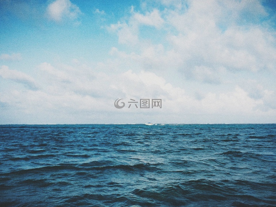 海洋,海,水