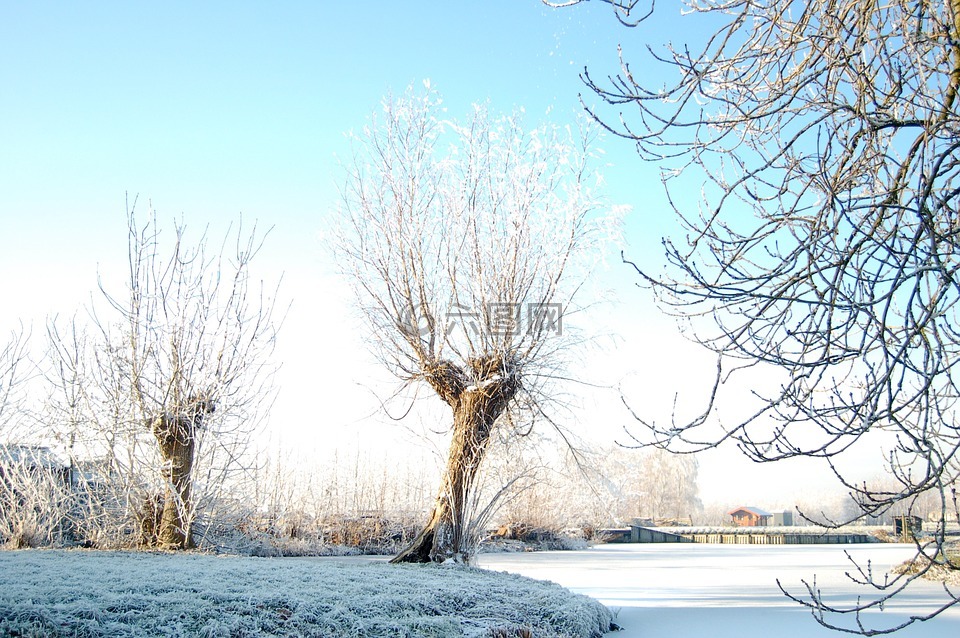 冬天,雪,寒冬