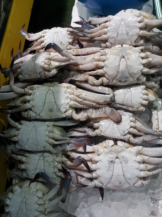 魚市場,藍(lán)蟹,魚