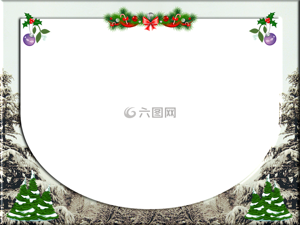 圣誕幀,圣誕節(jié),冬青