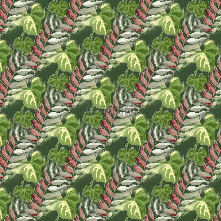 葉子,無縫,模式
