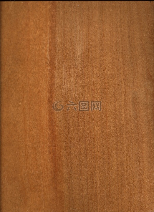 材料,木材,原木
