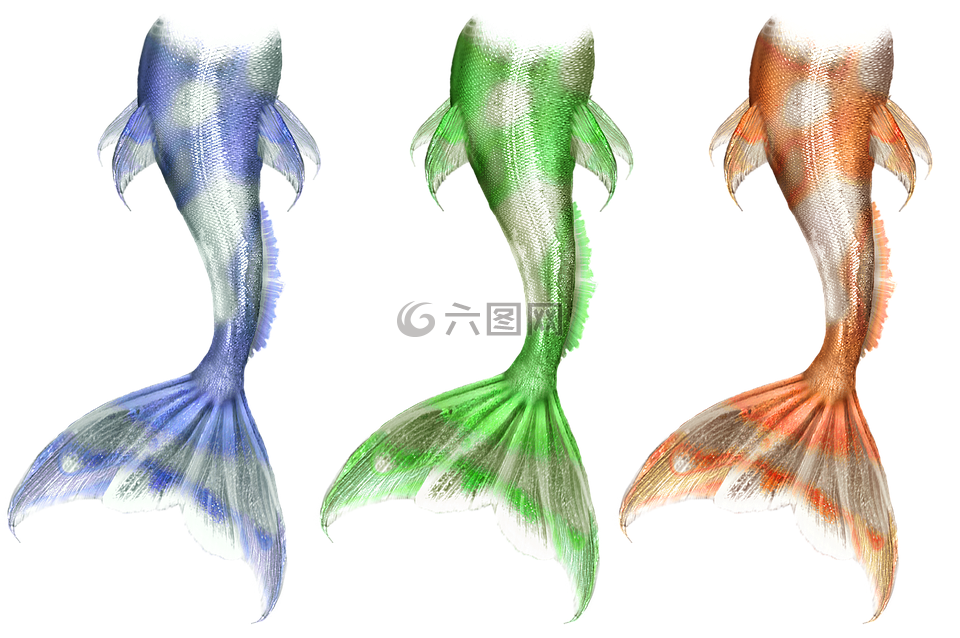 美人魚,人魚,濱海
