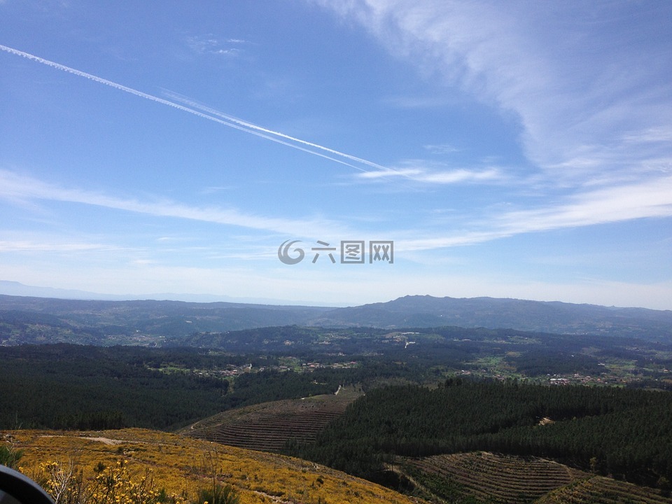 塞拉,山,景觀