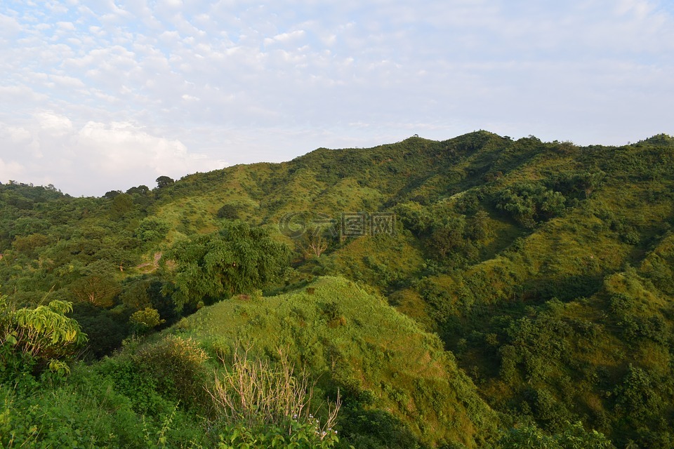 小山,绿色,景观