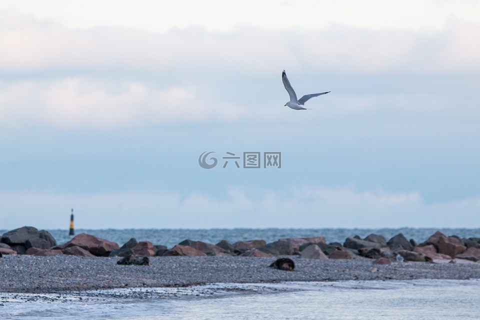 格蘭,水域,海