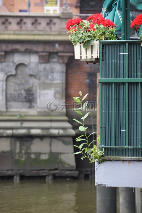 鮮花,漢堡,speicherstadt