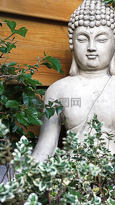 佛,佛像,花園