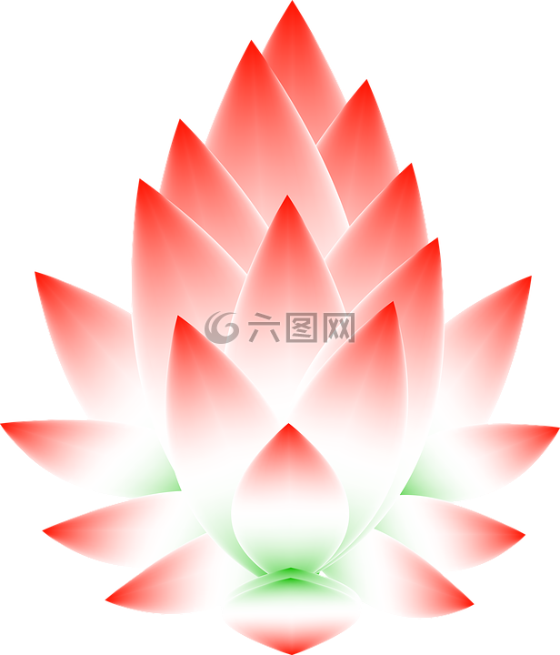 蓮花,花,開花