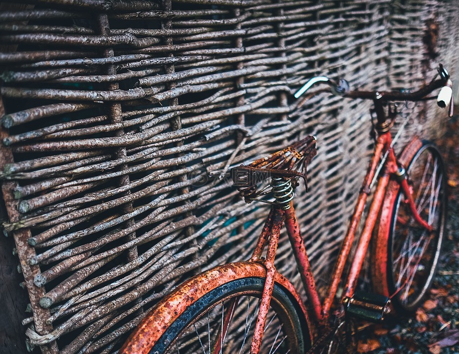 乡村,自行车,复古