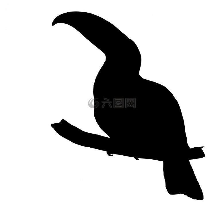 大嘴鳥,鳥,藝術