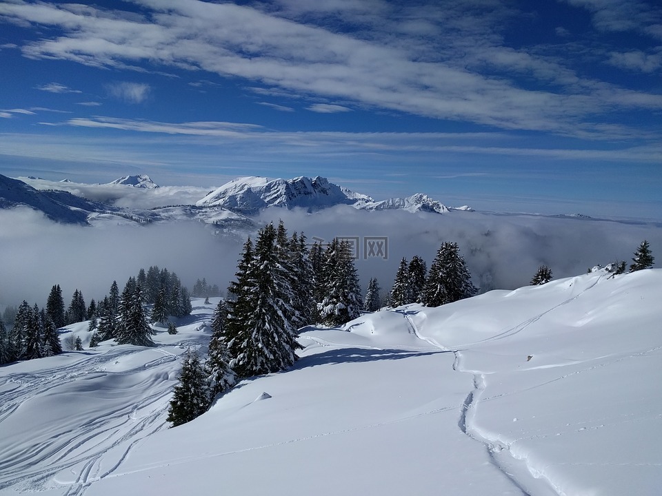 山,冬天,雪