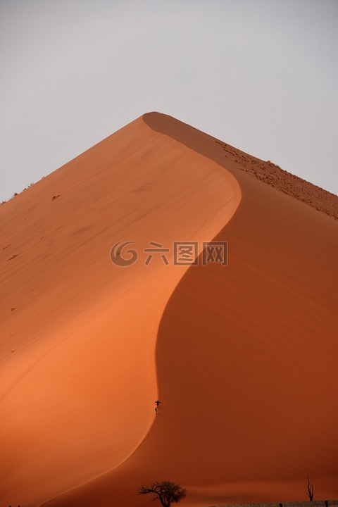 沙漠,沙丘,sossusvlei