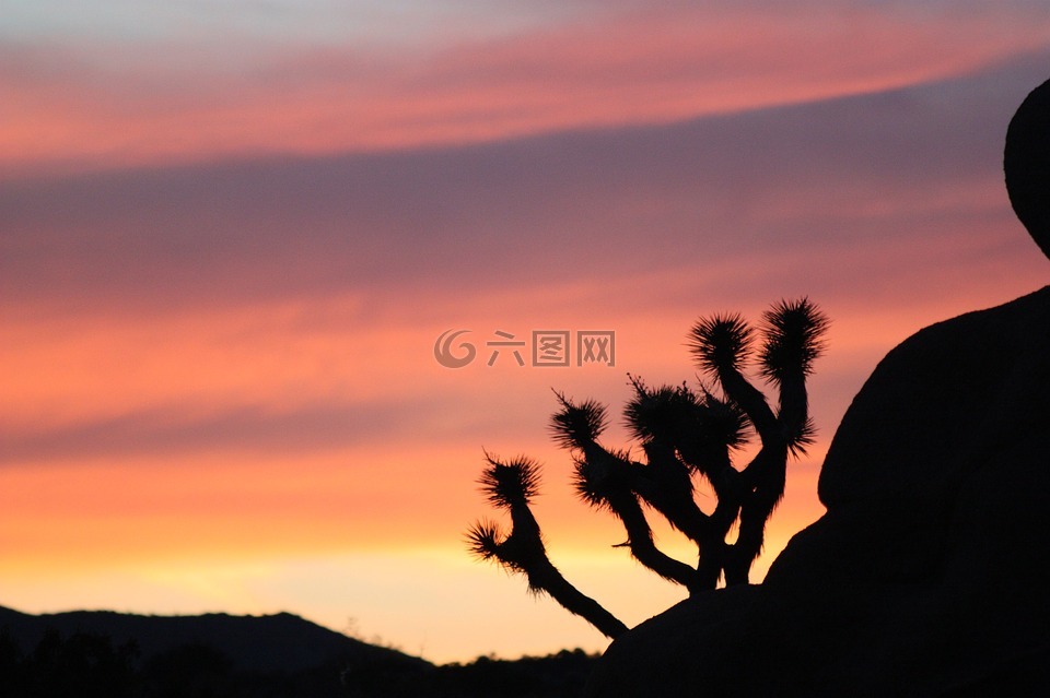 日落,景觀,山