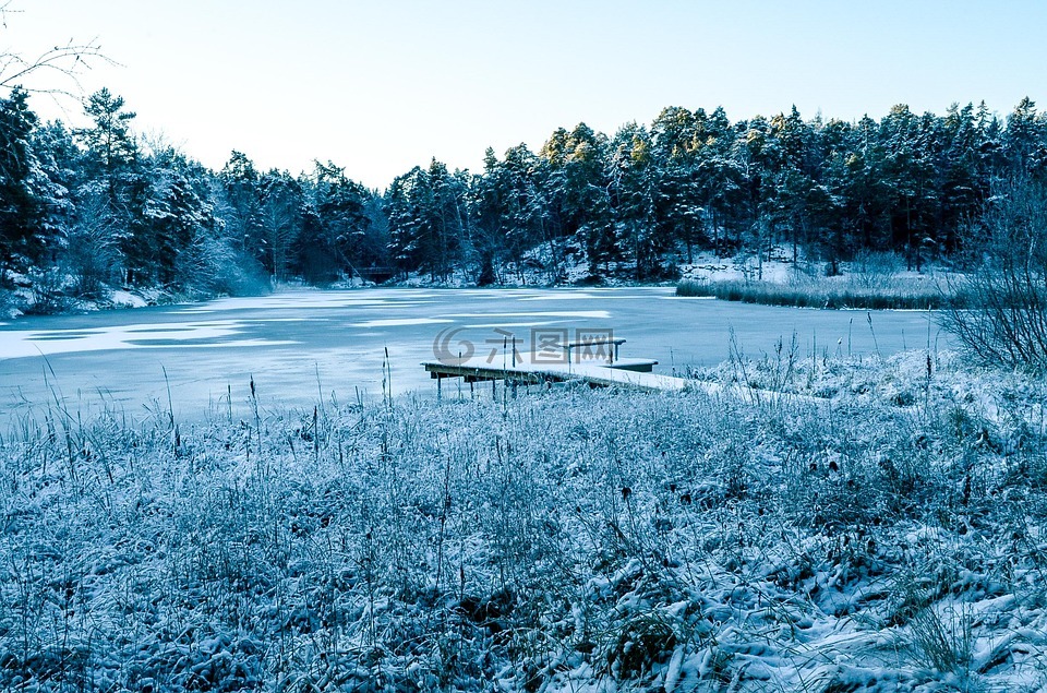 冬天,雪,地平線