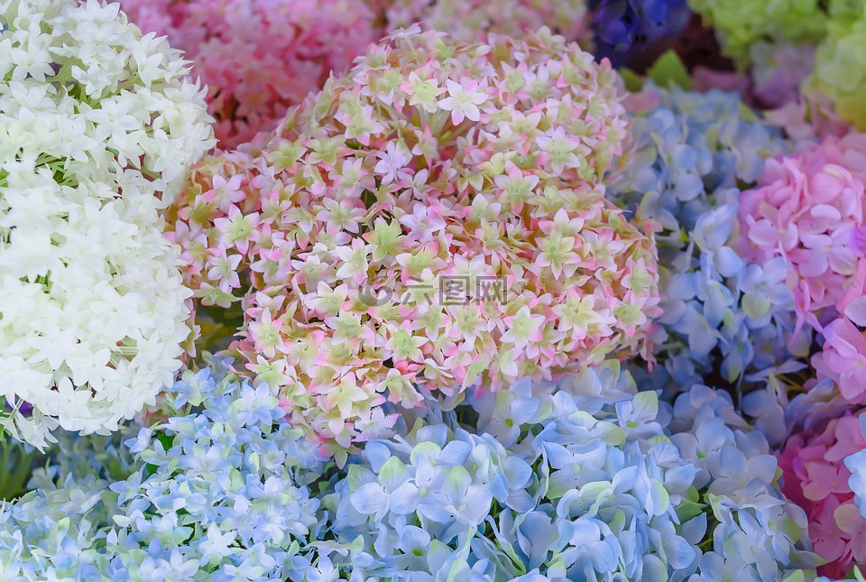 人造花。,人造花,花