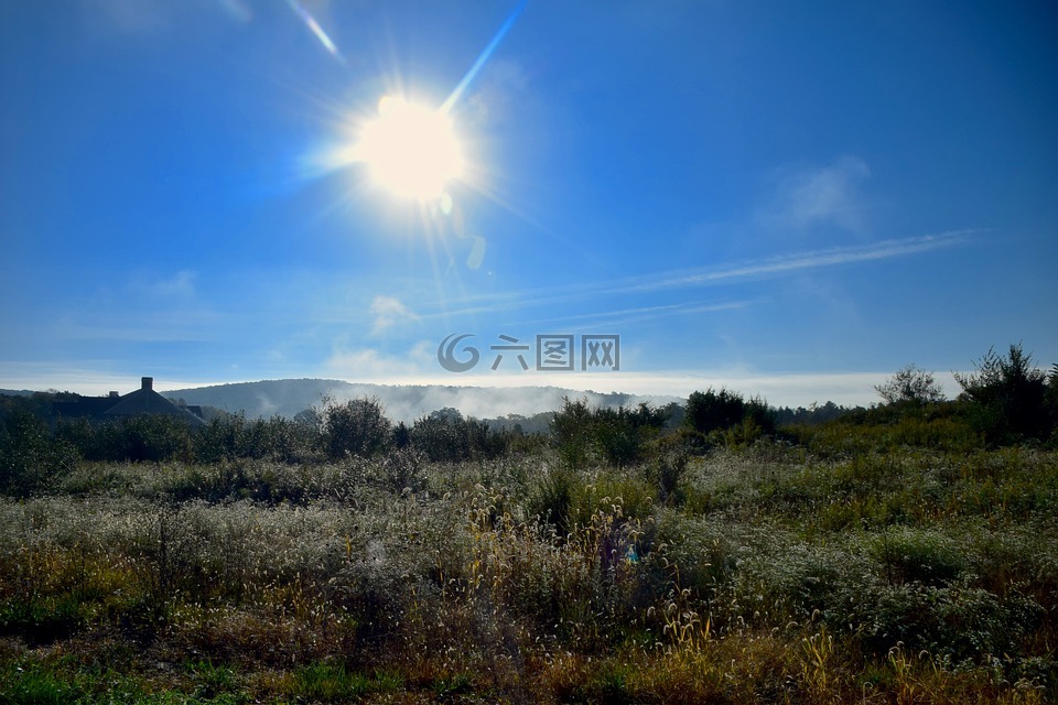 太陽,薄霧,原野