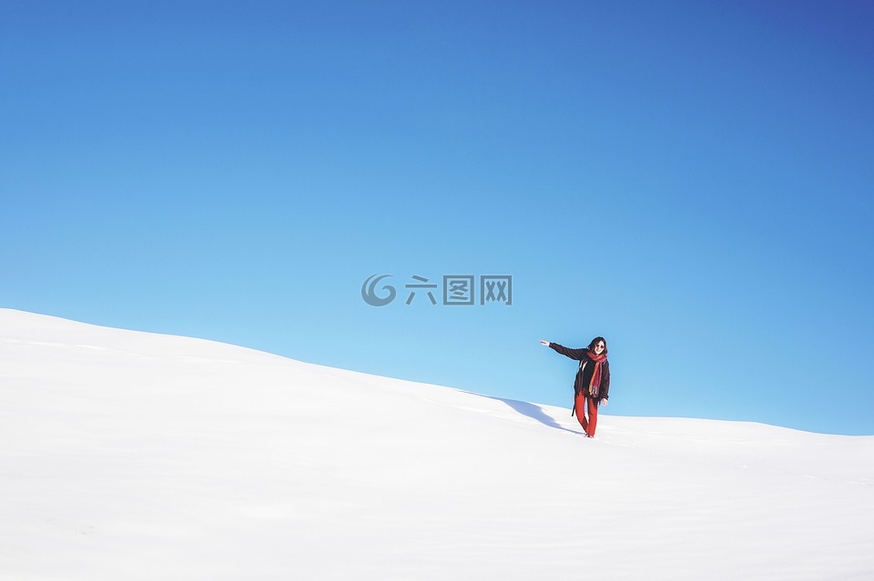 雪,冬天,高原