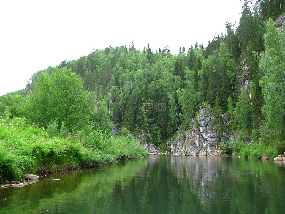森林,性質(zhì),夏季
