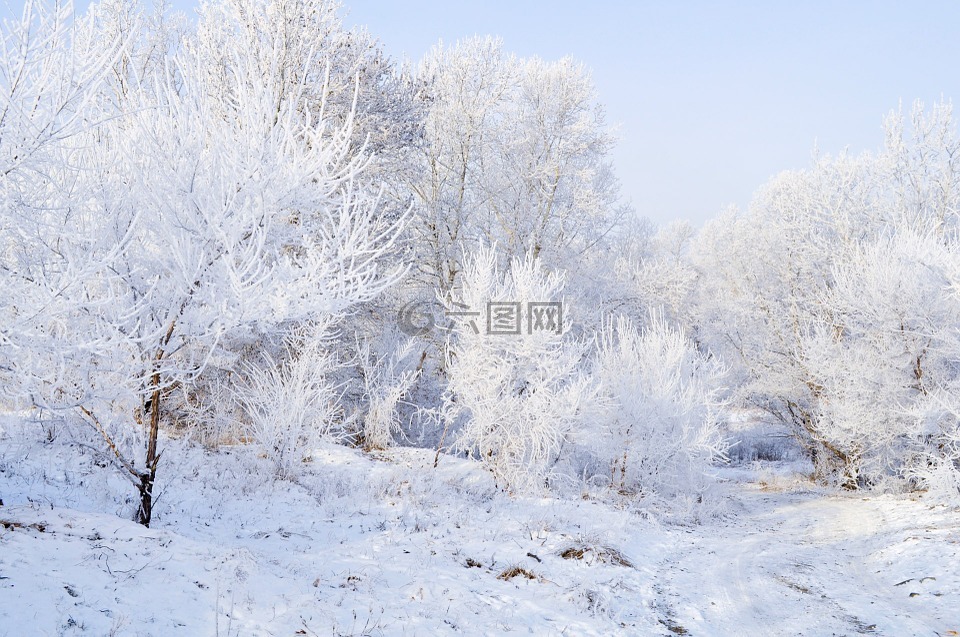 雪,霜,景觀