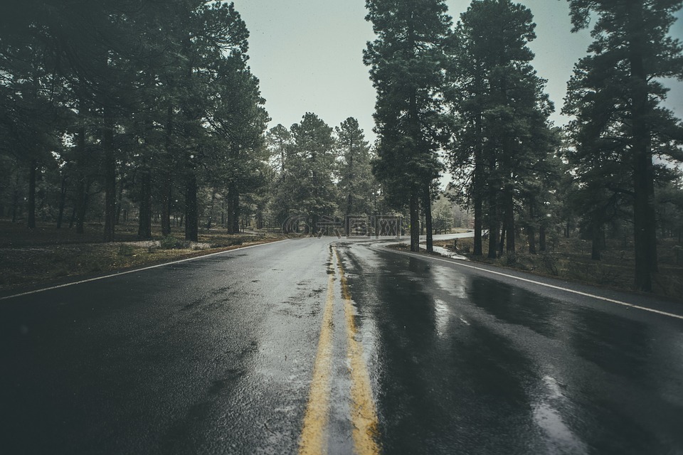 濕,路,雨