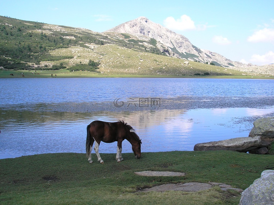 湖,科西嘉,山