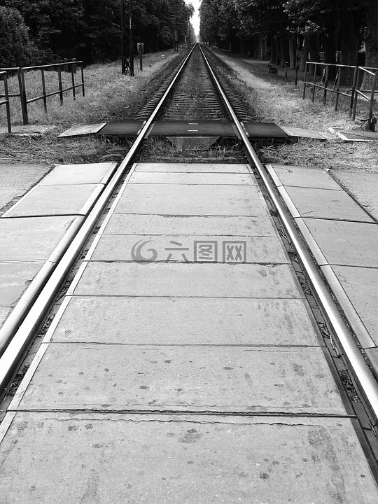 火車,旅行,曲目
