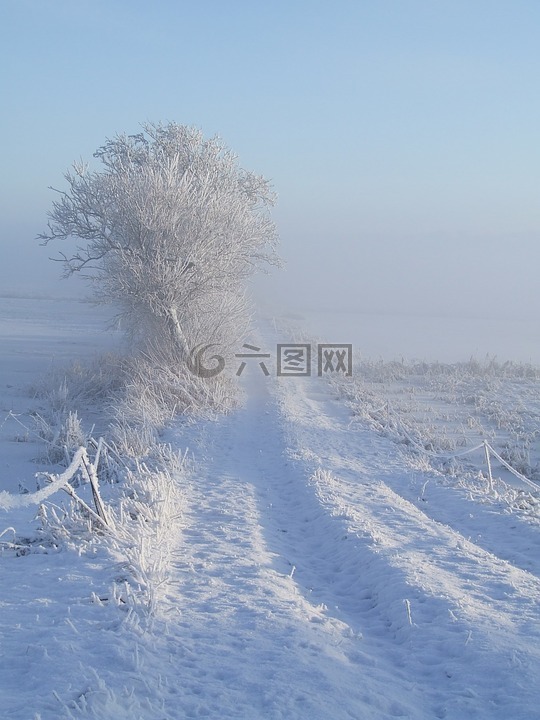 冬天,白,雪