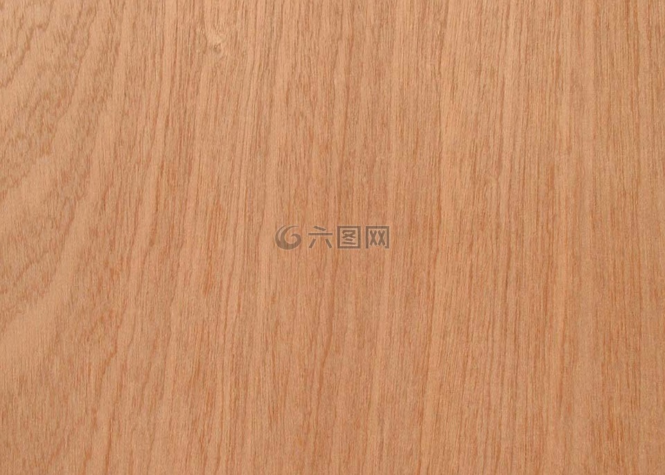 木材,纹理,树