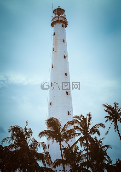 燈塔,樹(shù),海灘