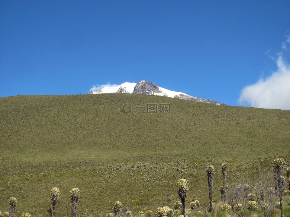 nevado,frailejon,托利馬