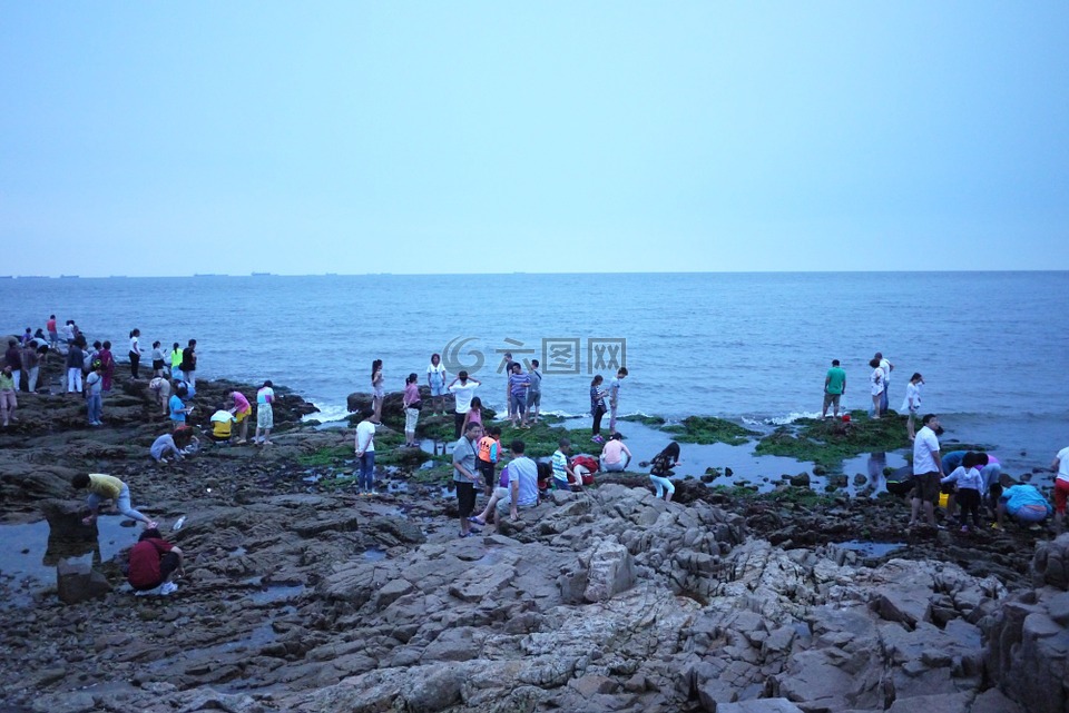 大海,清晨,游人