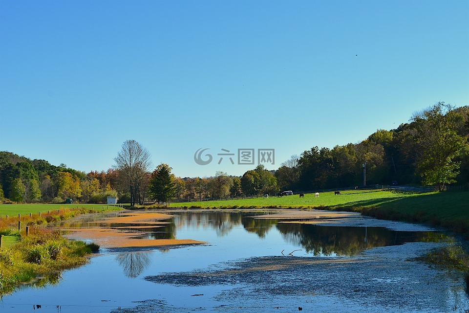 池,景观,自然