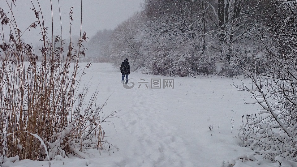 冬季,雪,七嘴八舌
