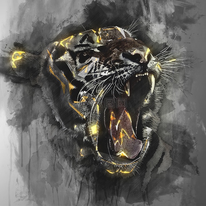 虎,頭,野生動物