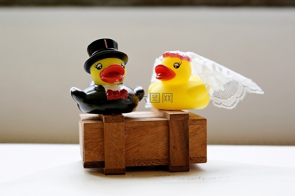 婚禮,面紗,油缸