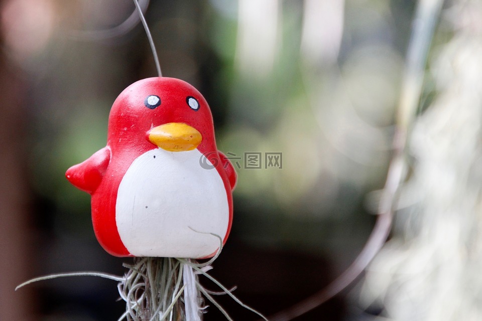 企鵝,鳥,裝飾
